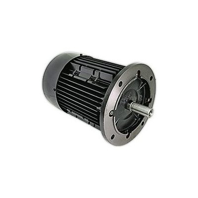 Электродвигатель R. SCHAELI 4,0 кВт