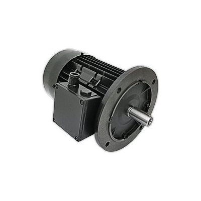 Электродвигатель купить R. SCHAELI 3,0 кВт