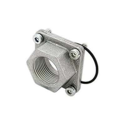 Фланец газового клапана DUNGS Rp 3/4" с прокладкой