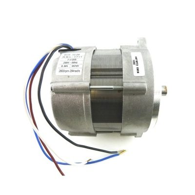 Электродвигатель RHE 450 Вт (RH S 110)