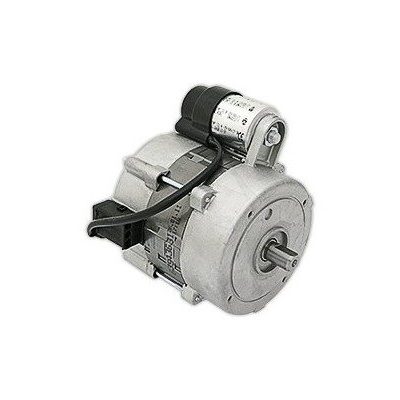 Электродвигатель ECOFLAM 250 Вт