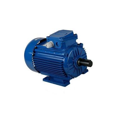 Электродвигатель ECOFLAM 4,0 кВт 400/690V D28