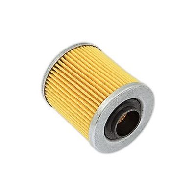 Фильтрующий элемент GIULIANI ANELLO 60200/0015P